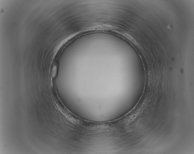 X0000071770838200607211530