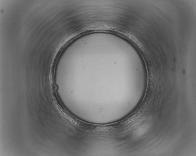 X0000071770840200607211530