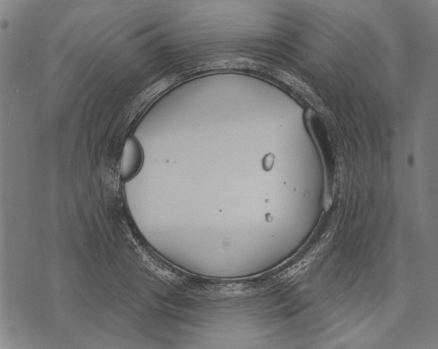 X0000071770841200607211530