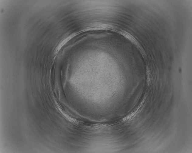 X0000071770842200607211530