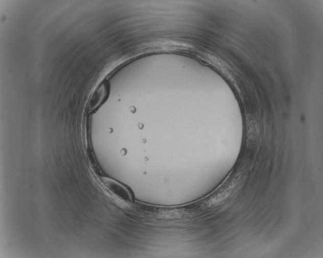 X0000071770843200607211530