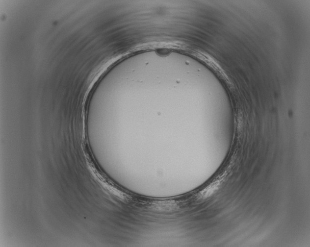 X0000071770844200607211530