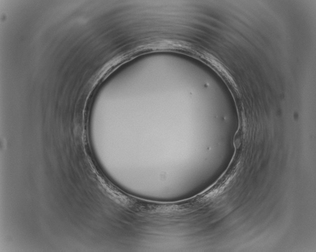 X0000071770845200607211530