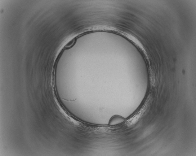 X0000071770847200607211530