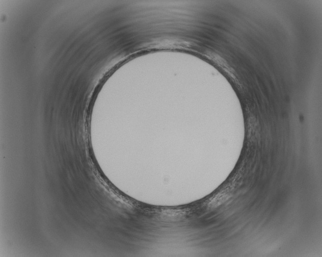 X0000071770848200607211530