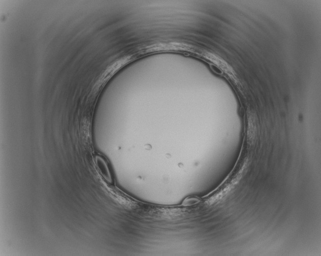 X0000071770849200607211530