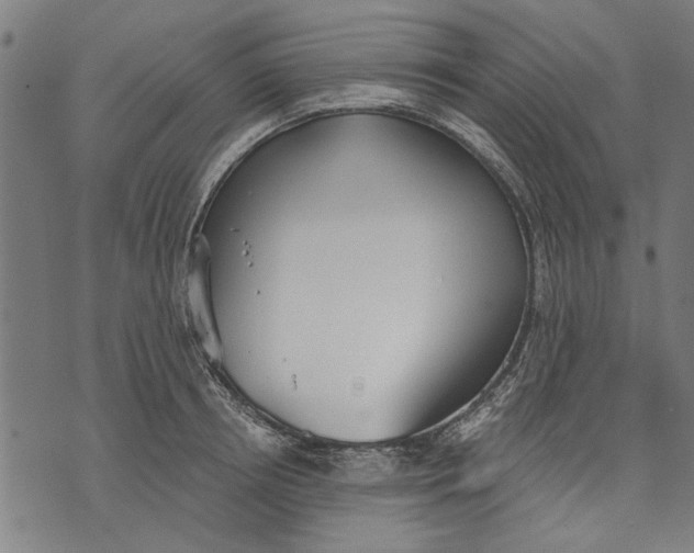 X0000071770850200607211530