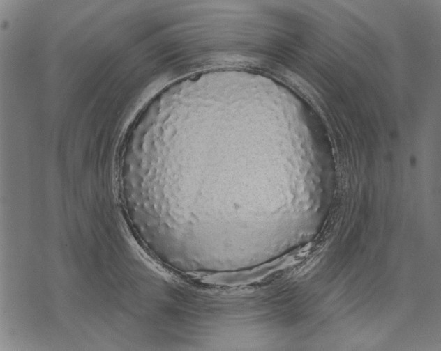 X0000071770851200607211530