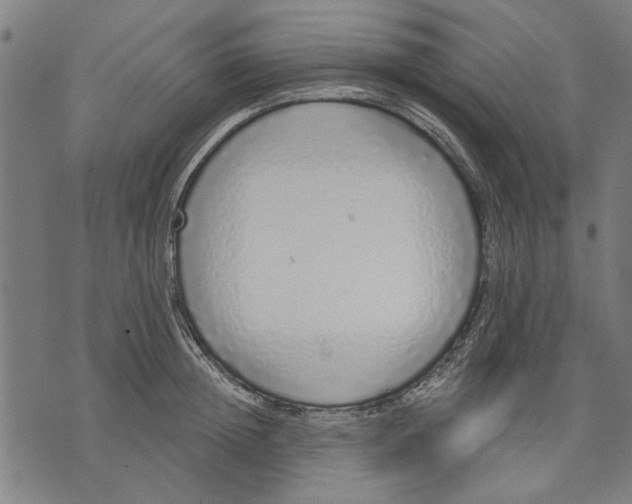 X0000071770852200607211530