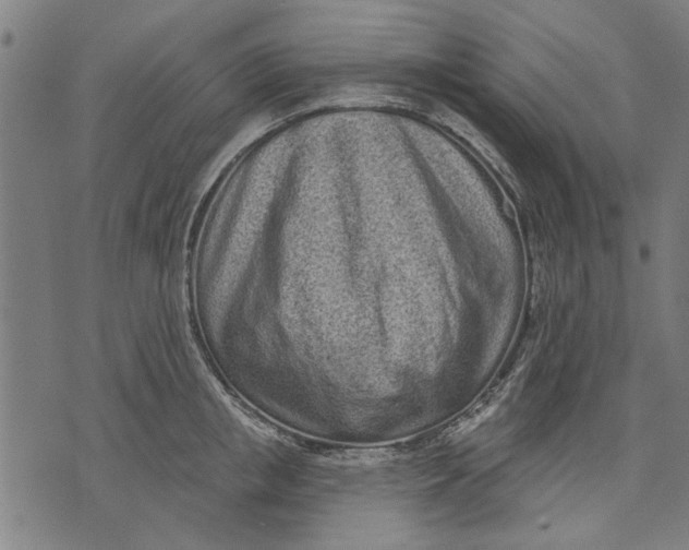 X0000071770853200607211530