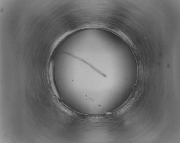 X0000071770854200607211530