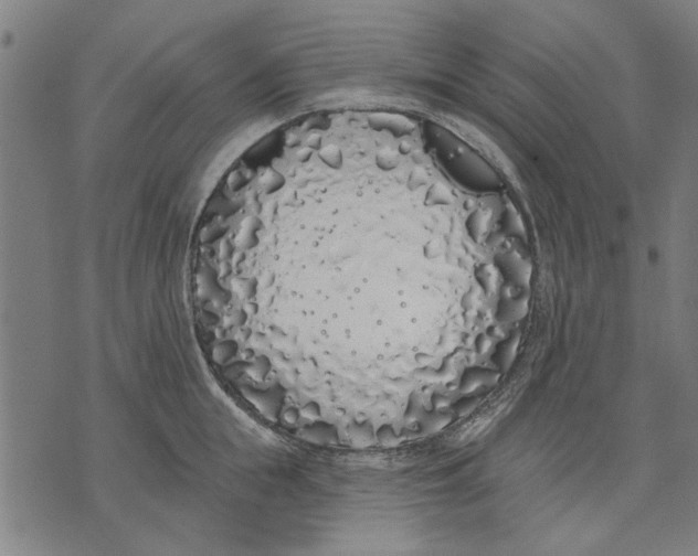 X0000071770855200607211530