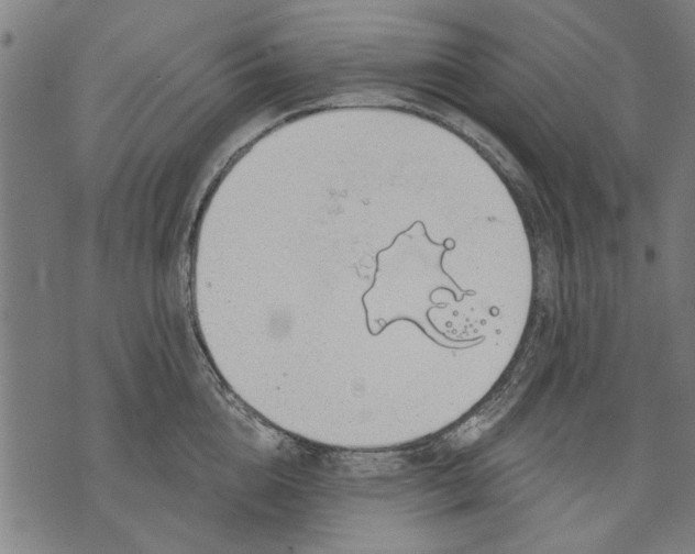 X0000071770856200607211530