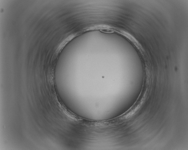 X0000071770857200607211530