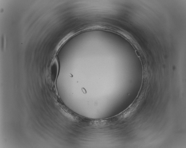 X0000071770858200607211530