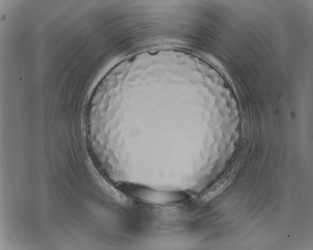 X0000071770859200607211530