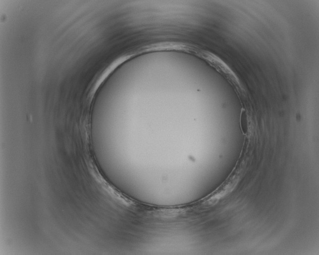 X0000071770860200607211530