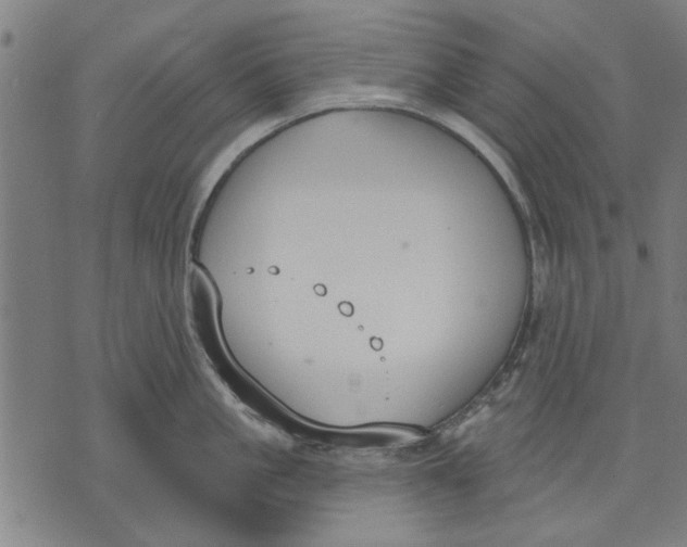 X0000071770861200607211530