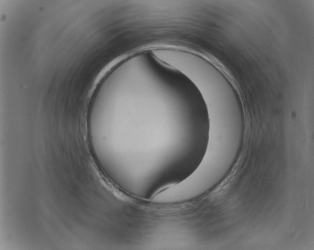 X0000071770862200607211530