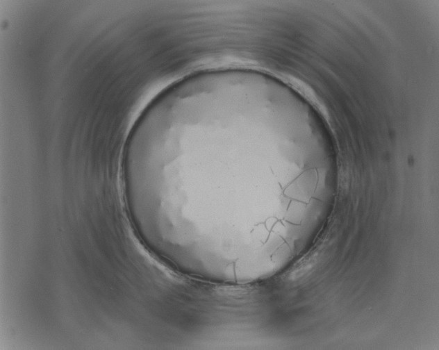 X0000071770863200607211530