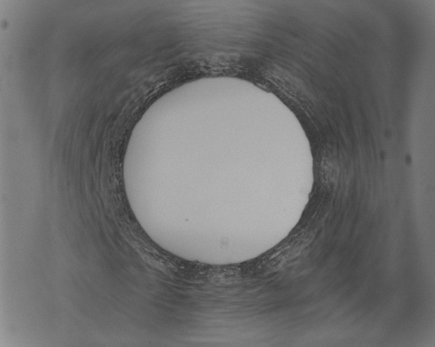 X0000071770865200607211529