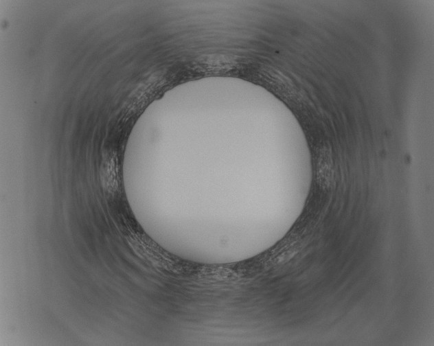 X0000071770866200607211529