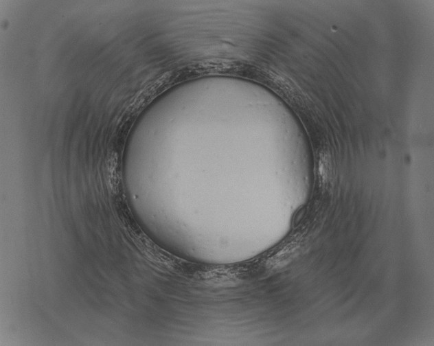 X0000071770867200607211529