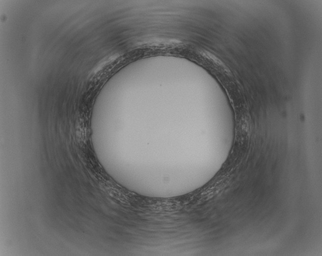 X0000071770869200607211529