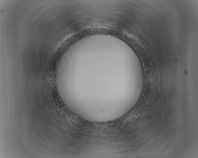 X0000071770870200607211529