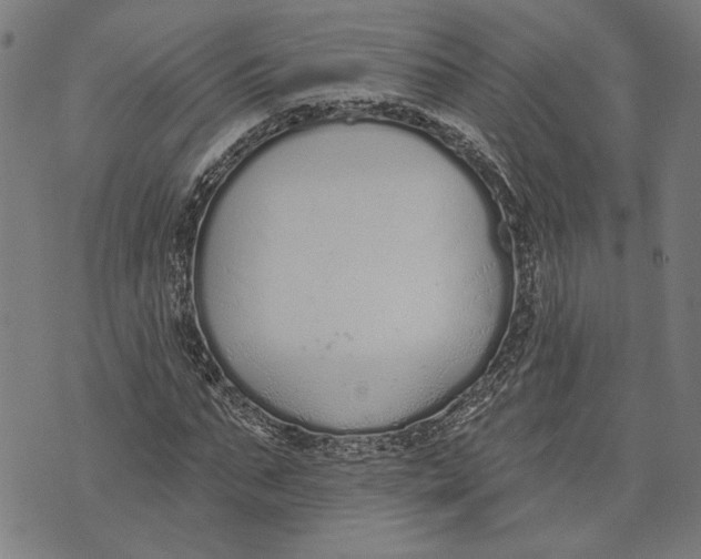 X0000071770871200607211529