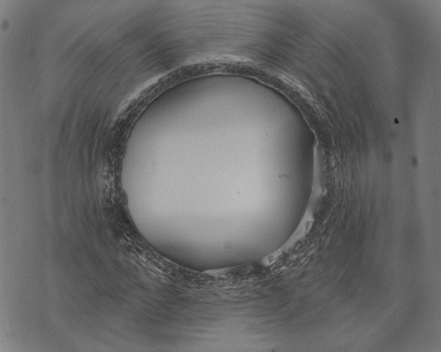 X0000071770872200607211529