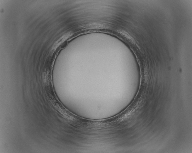 X0000071770873200607211529