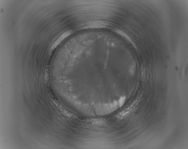 X0000071770874200607211529