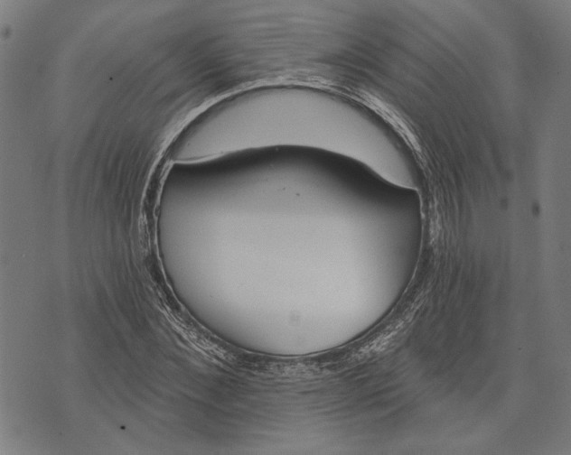 X0000071770876200607211529