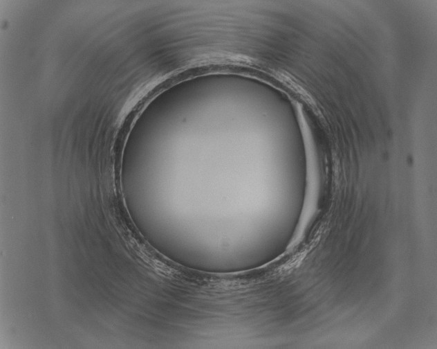 X0000071770877200607211529