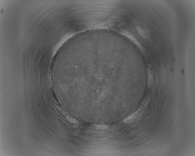 X0000071770878200607211529