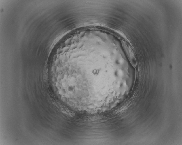 X0000071770879200607211529