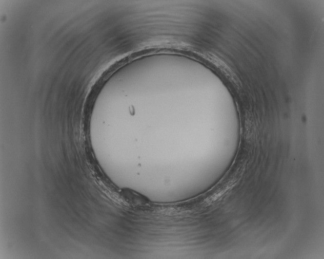 X0000071770880200607211529