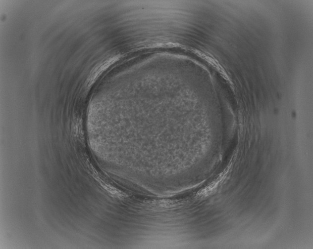 X0000071770881200607211529