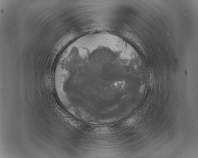 X0000071770882200607211529