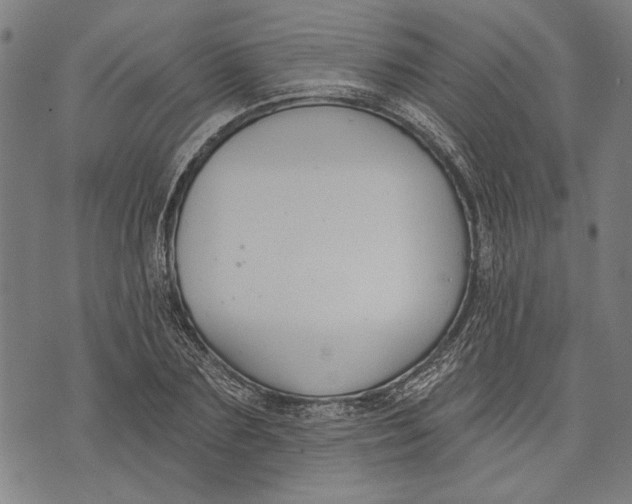 X0000071770883200607211529