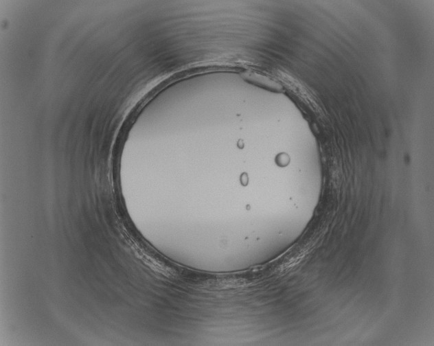 X0000071770884200607211529