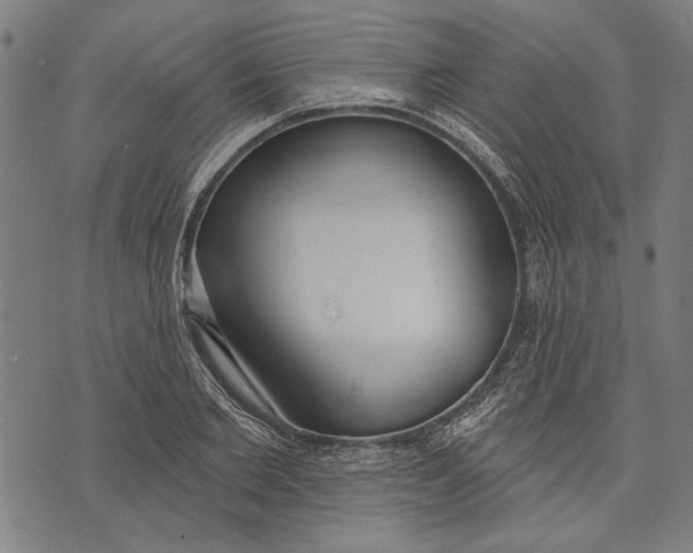 X0000071770885200607211529