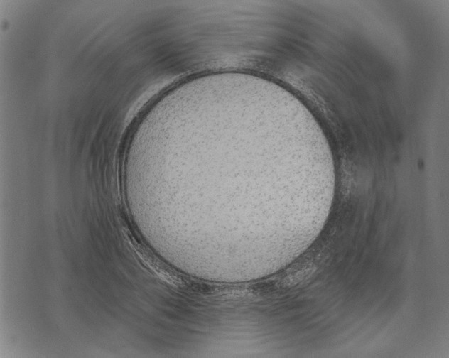 X0000071770886200607211529