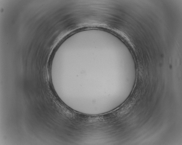 X0000071770887200607211529