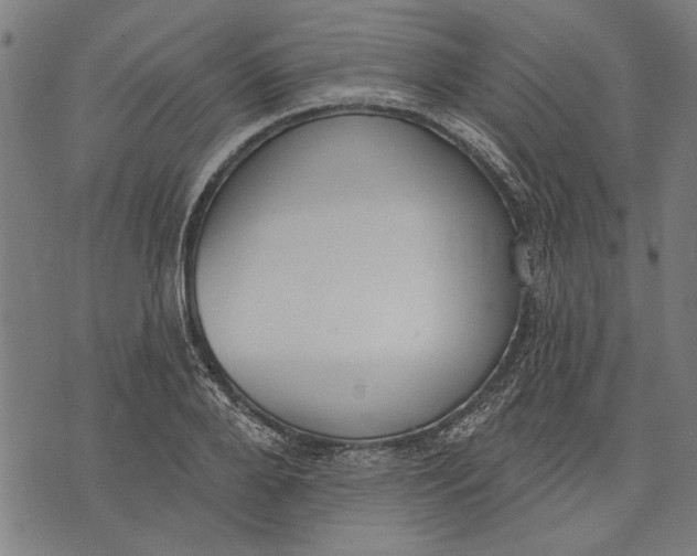 X0000071770888200607211529