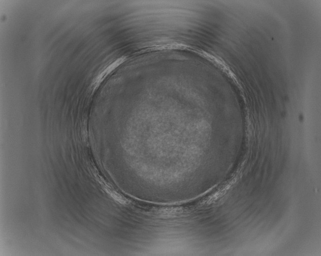 X0000071770889200607211529