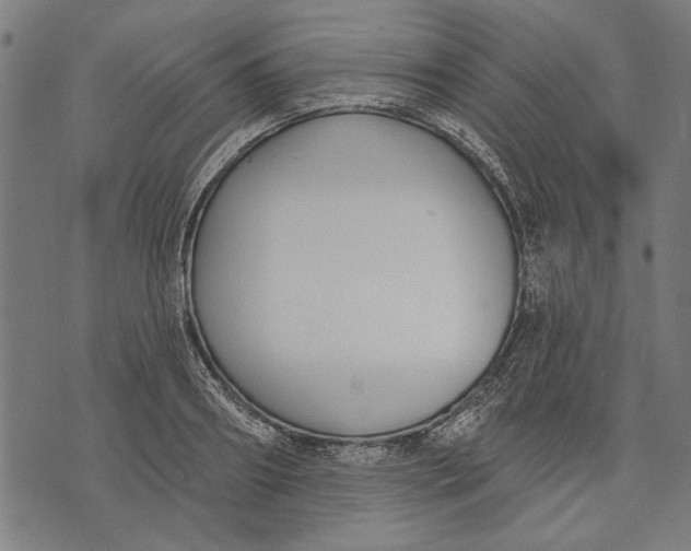 X0000071770890200607211529