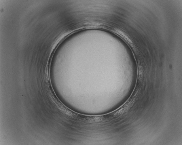 X0000071770891200607211529