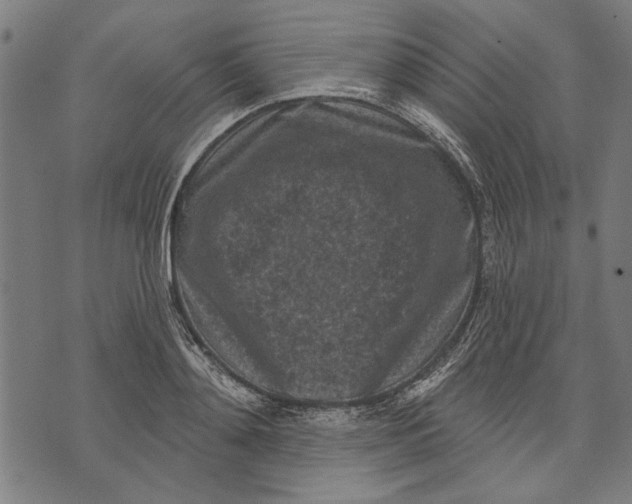 X0000071770892200607211529